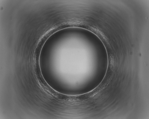 X0000086270684200703291436
