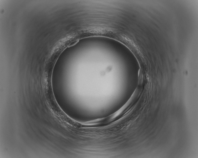 X0000086270688200703291436