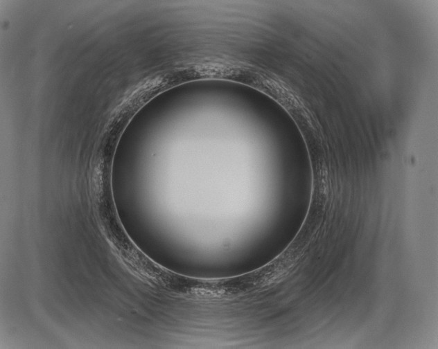 X0000086270690200703291436