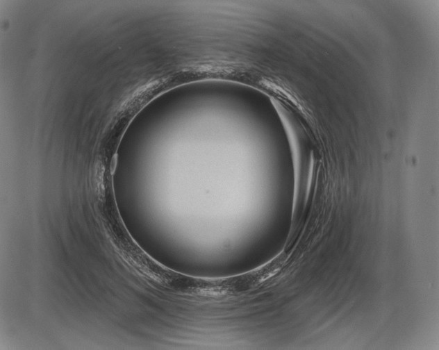 X0000086270692200703291436