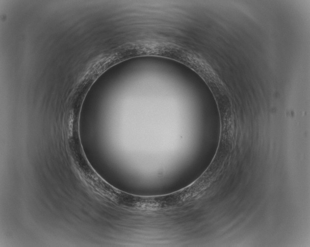 X0000086270694200703291436
