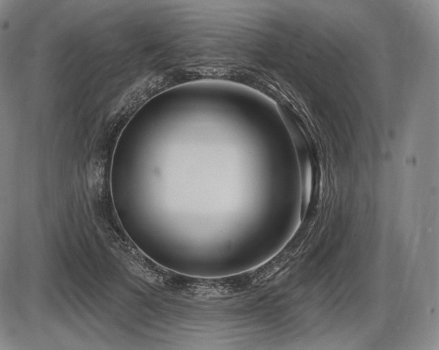 X0000086270697200703291436
