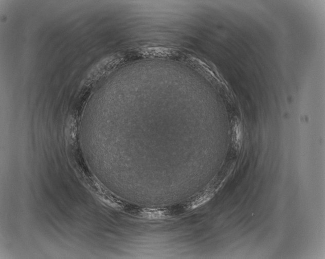 X0000086270701200703291436