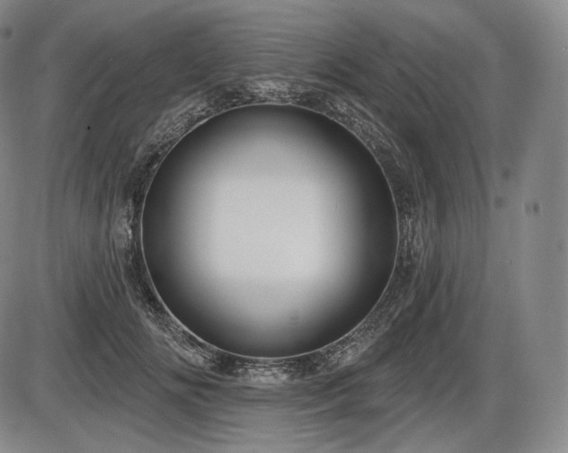 X0000086270702200703291436