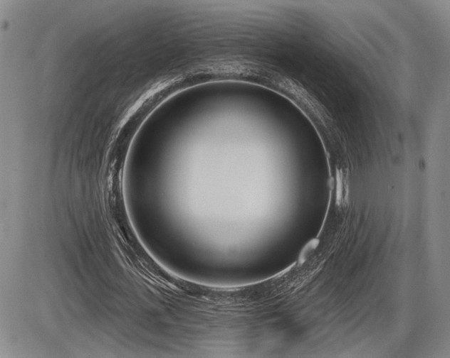 X0000086270723200703291435