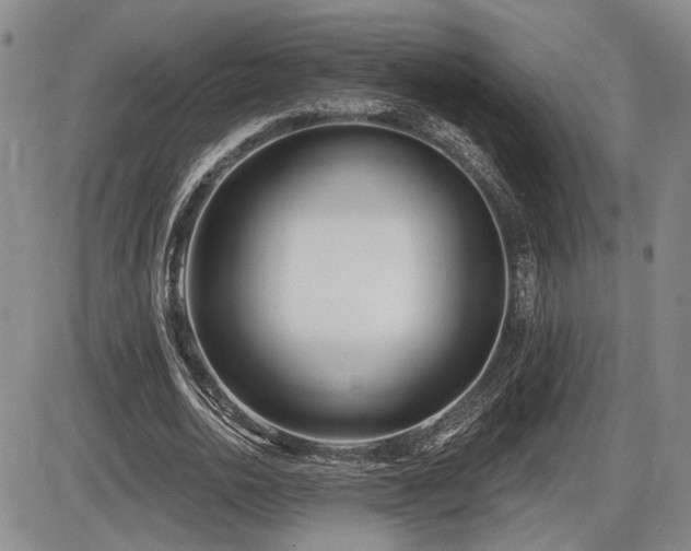 X0000086270726200703291435