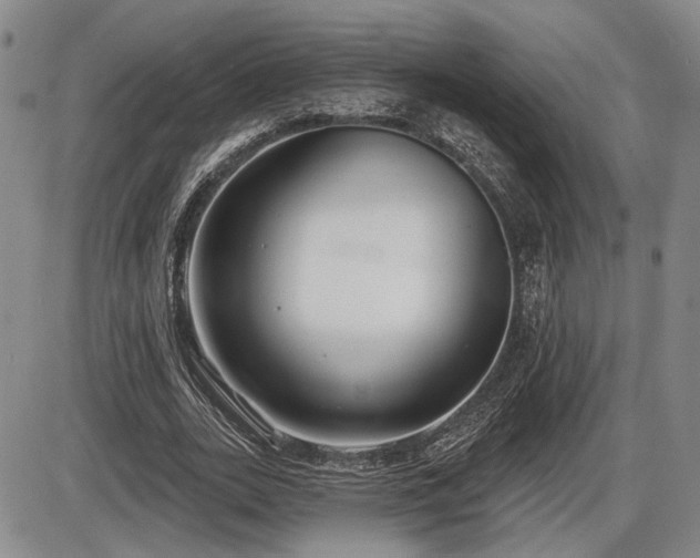 X0000086270727200703291435