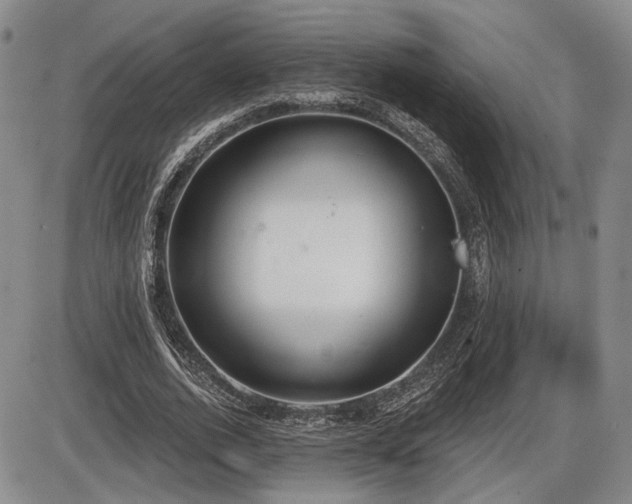 X0000086270728200703291435