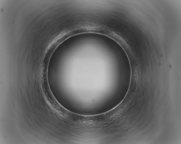 X0000086270730200703291435