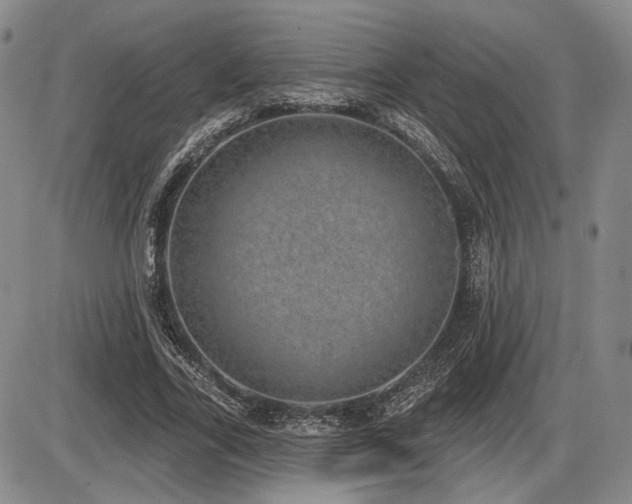 X0000086270731200703291435