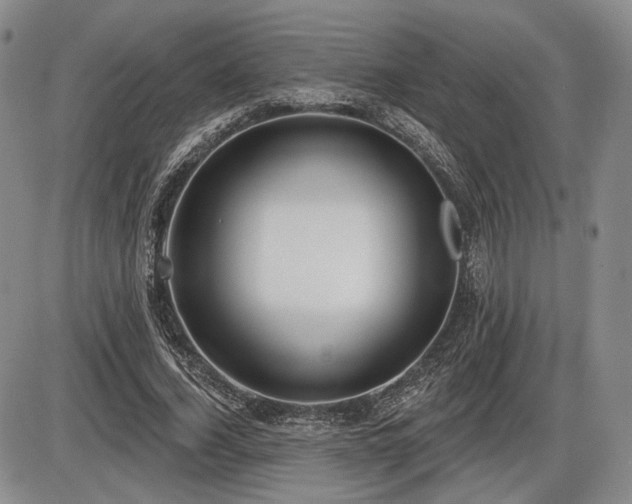 X0000086270732200703291435