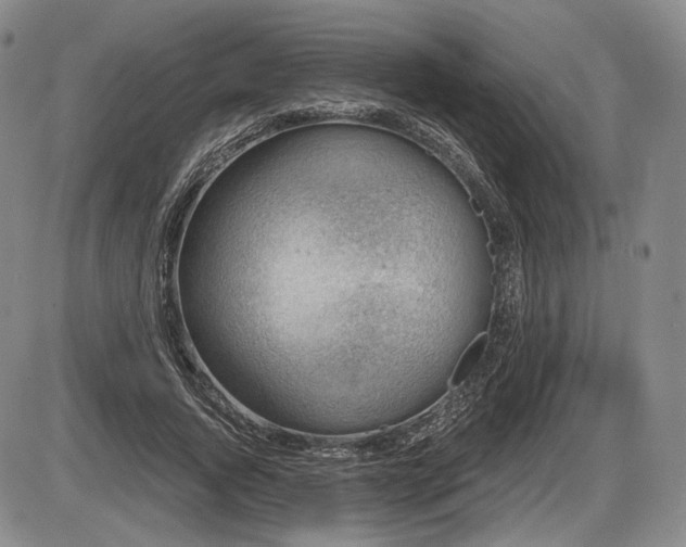 X0000086270736200703291435