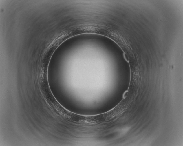 X0000086270739200703291435