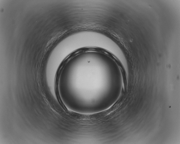 X0000086270740200703291435