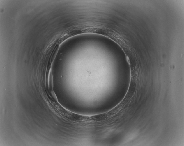 X0000086270742200703291435