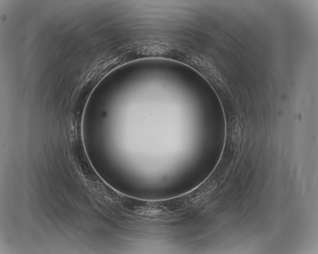 X0000086270743200703291435