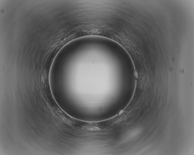 X0000086270747200703291435