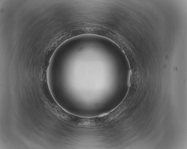 X0000086270750200703291435