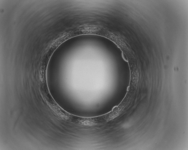 X0000086270755200703291435
