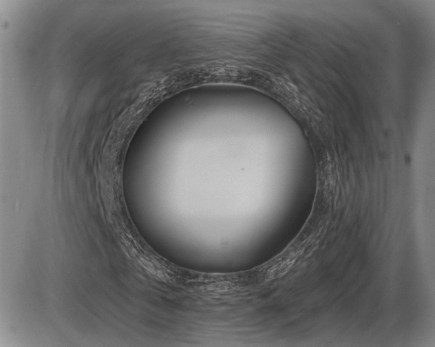 X0000086270769200703291435