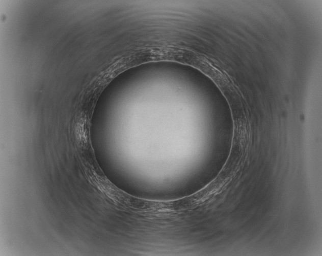 X0000086270770200703291434