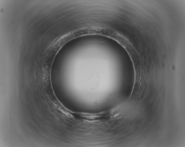 X0000086270773200703291434