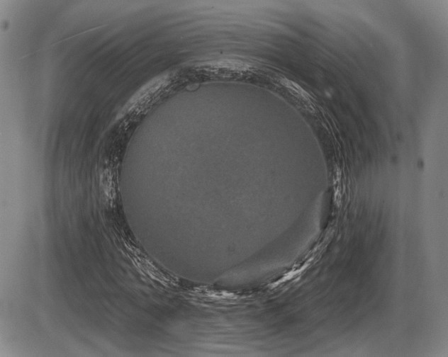 X0000086270774200703291434