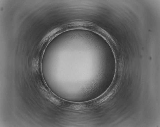 X0000086270778200703291434