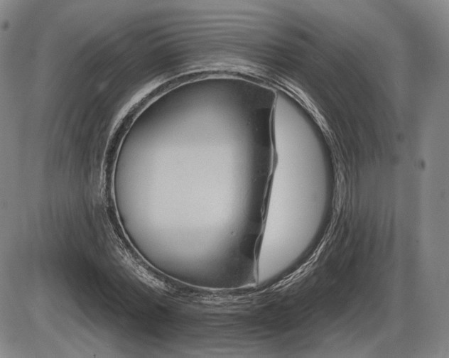 X0000086270780200703291434