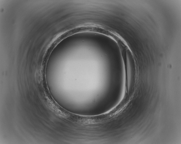 X0000086270783200703291434