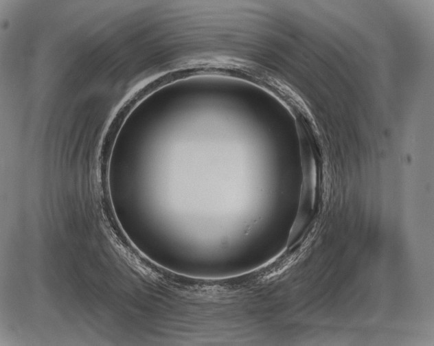 X0000086270784200703291434