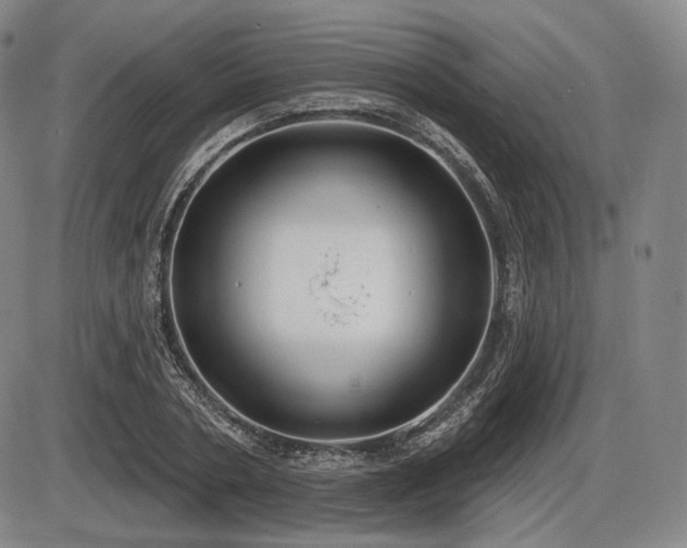X0000086270786200703291434