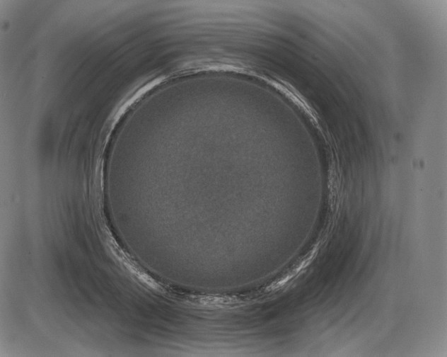 X0000086270790200703291434