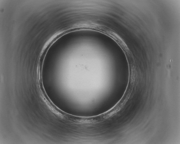 X0000086270796200703291434