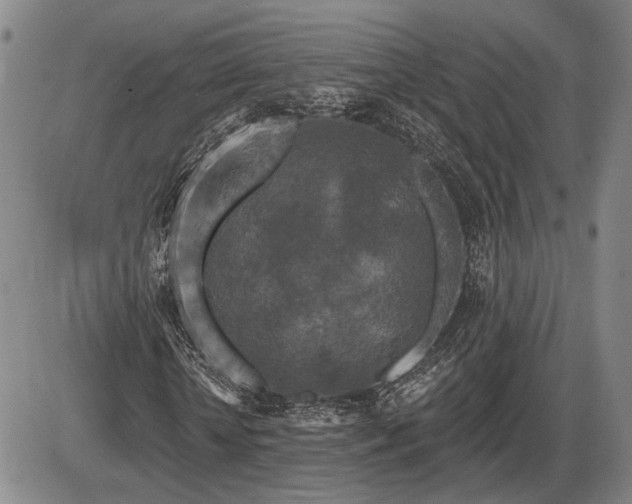 X0000086270818200703291433
