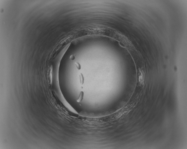 X0000086270819200703291433