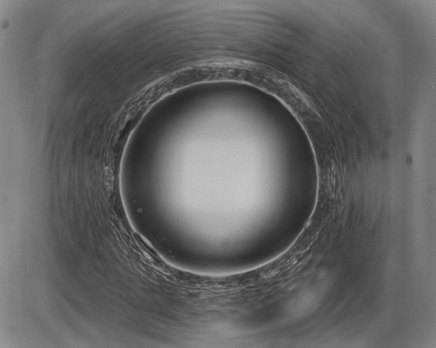 X0000086270821200703291433