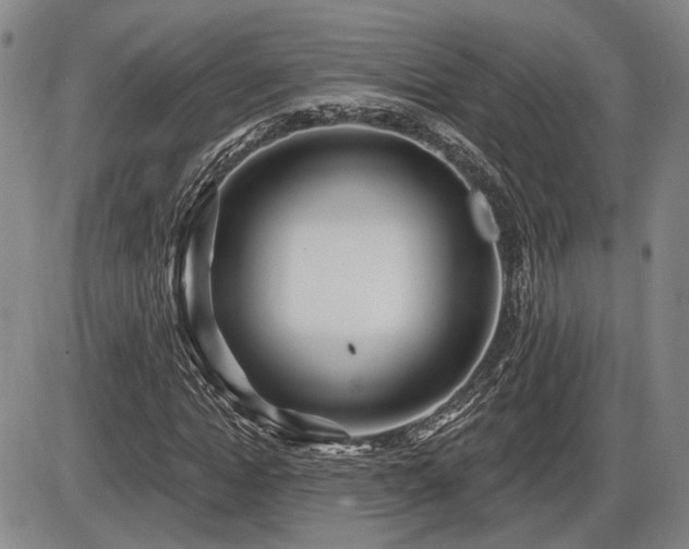X0000086270822200703291433