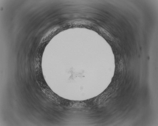 X0000086270824200703291433