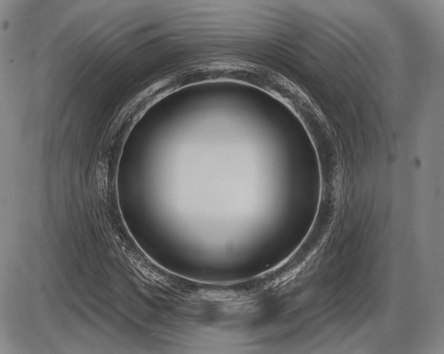 X0000086270825200703291433
