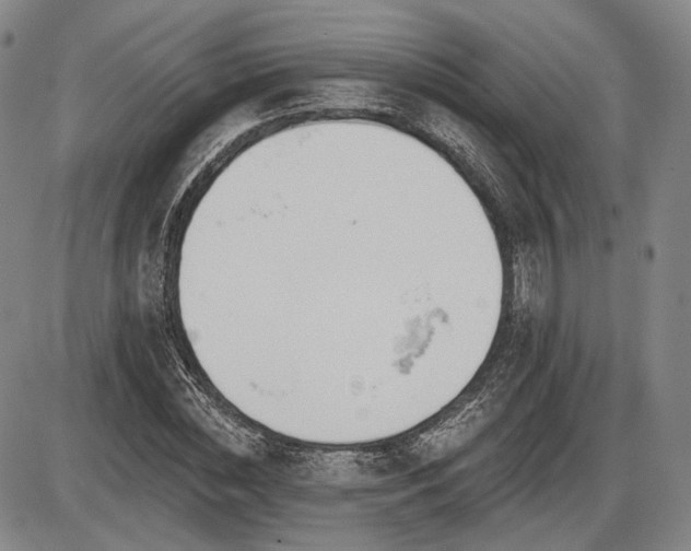 X0000086270828200703291433