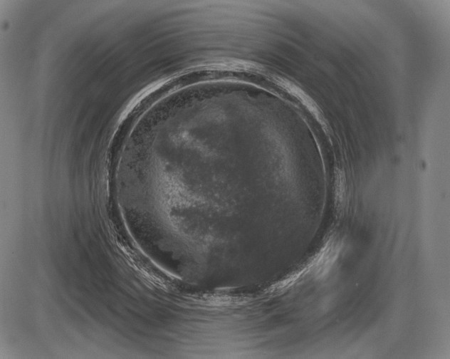 X0000086270829200703291433