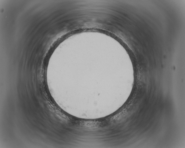 X0000086270832200703291433