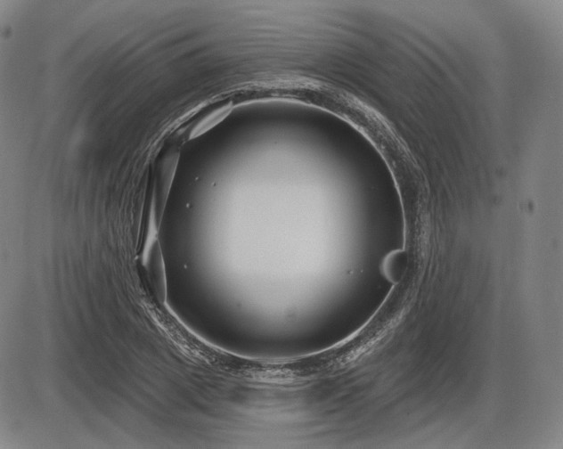 X0000086270833200703291433