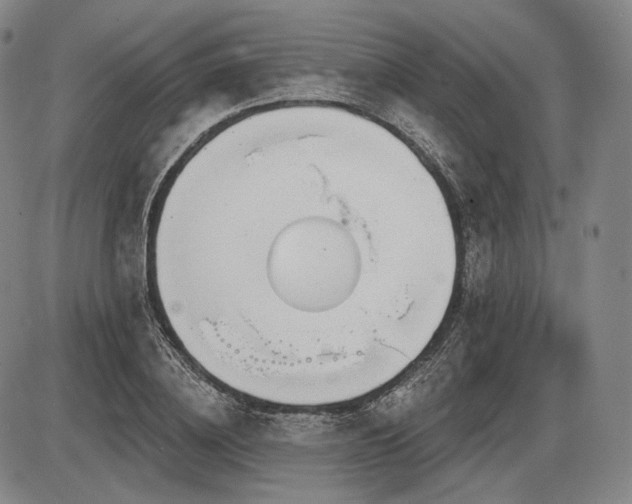 X0000086270836200703291433