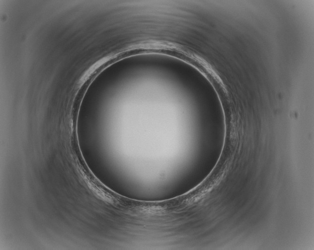 X0000086270837200703291433