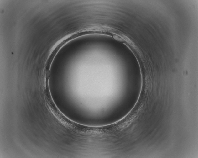 X0000086270838200703291433