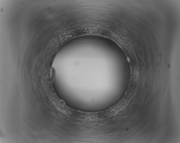 X0000086270865200703291433