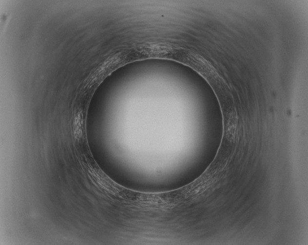 X0000086270866200703291433