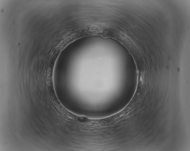 X0000086270867200703291433